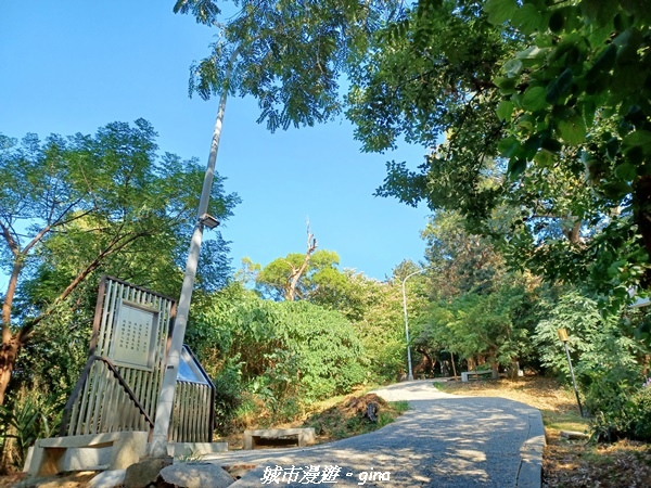 20221113_133522.jpg 20221113_133522.jpg