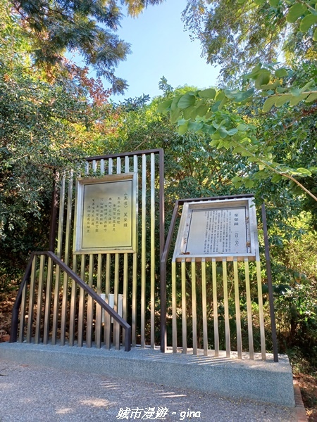 20221113_133557.jpg 20221113_133557.jpg