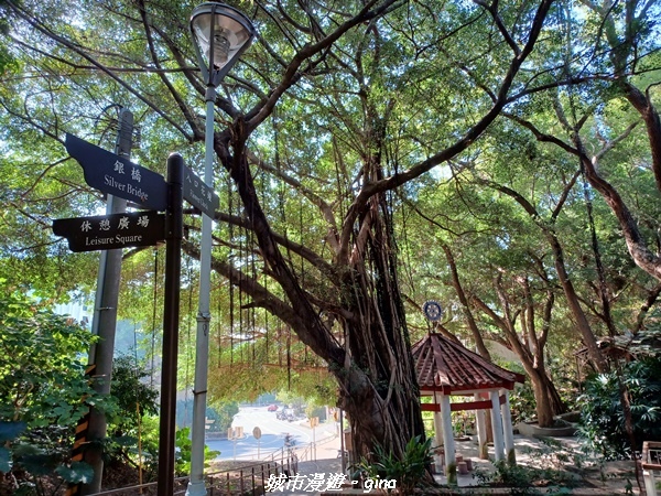 20221113_134414.jpg 20221113_134414.jpg