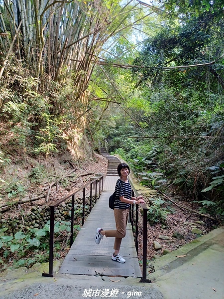 20221119_095202.jpg 20221119_095202.jpg