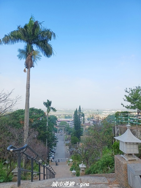 20221119_095933.jpg 20221119_095933.jpg