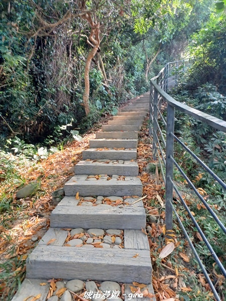 20221119_102147.jpg 20221119_102147.jpg