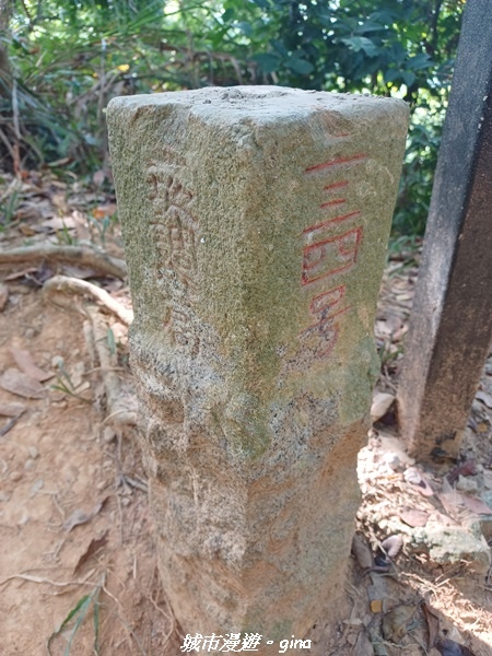 20221119_102305.jpg 20221119_102305.jpg