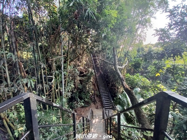 20221119_104156.jpg 20221119_104156.jpg