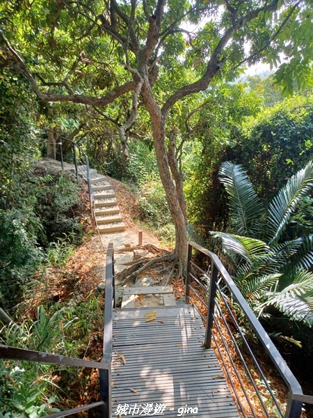 20221119_103752.jpg 20221119_103752.jpg