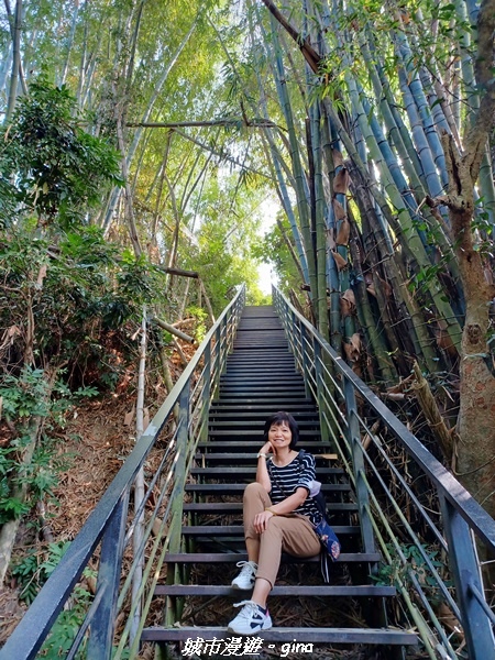 20221119_111351.jpg 20221119_111351.jpg