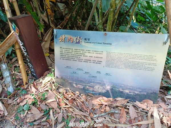 20221119_112319.jpg 20221119_112319.jpg