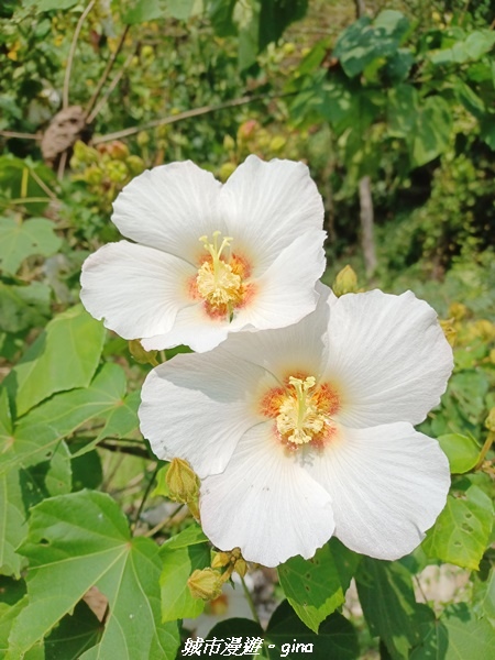 20221119_113114.jpg 20221119_113114.jpg