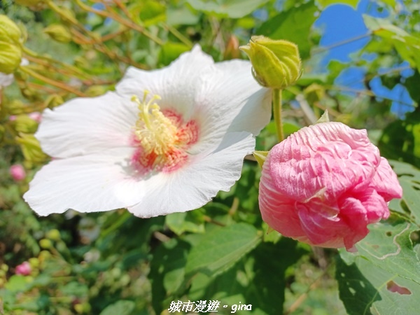 20221119_113049.jpg 20221119_113049.jpg