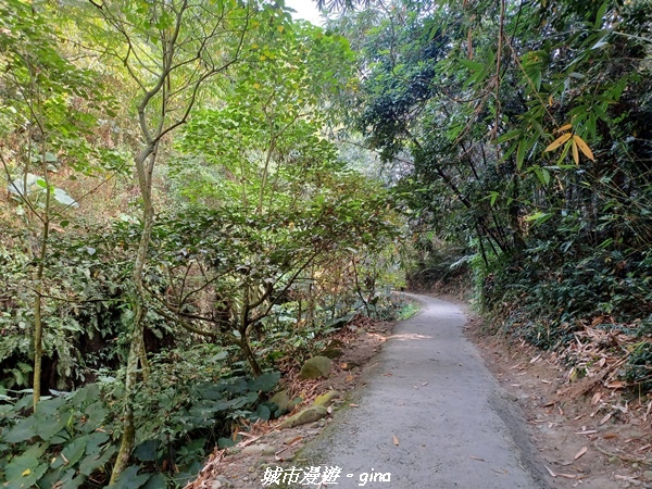 20221119_113545.jpg 20221119_113545.jpg