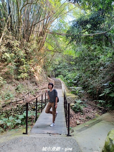 20221119_113826.jpg 20221119_113826.jpg