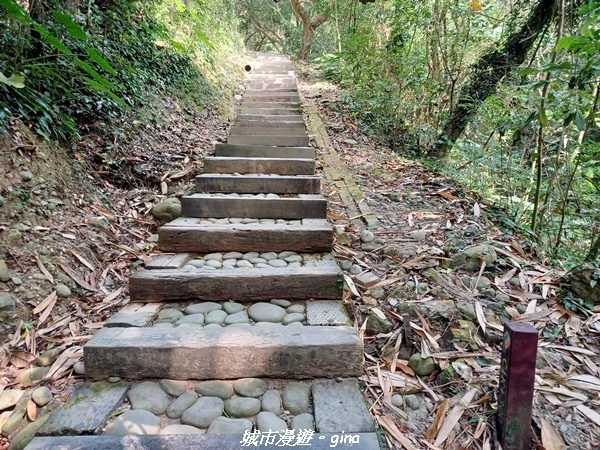 20221119_114357.jpg 20221119_114357.jpg