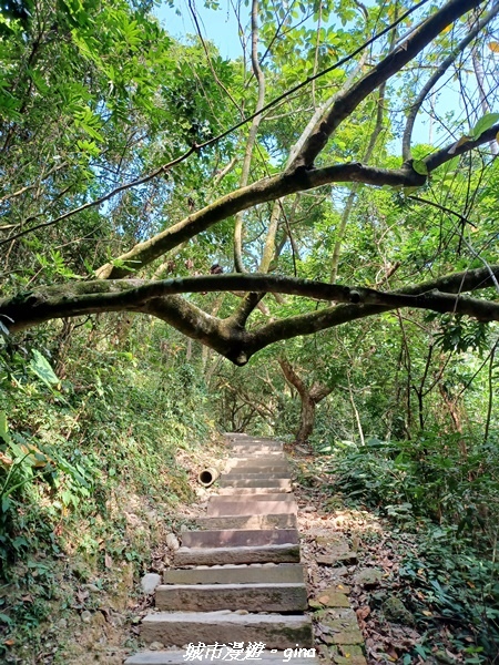 20221119_114407.jpg 20221119_114407.jpg