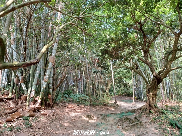 20221119_114522.jpg 20221119_114522.jpg