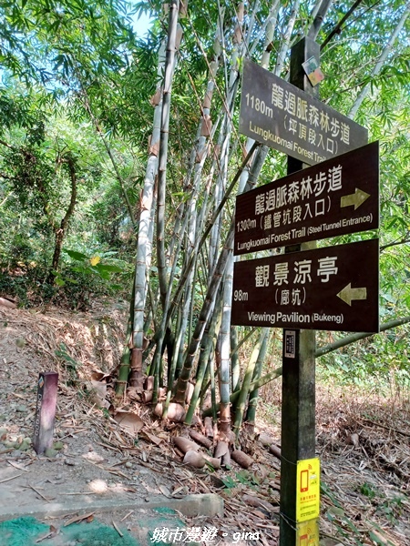 20221119_114623.jpg 20221119_114623.jpg