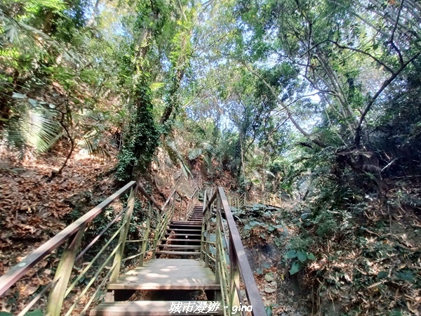 20221119_115014.jpg 20221119_115014.jpg