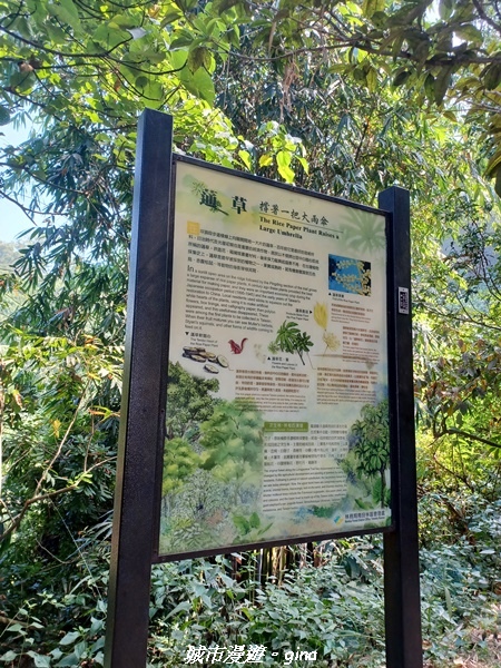 20221119_115924.jpg 20221119_115924.jpg