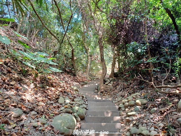 20221119_115418.jpg 20221119_115418.jpg