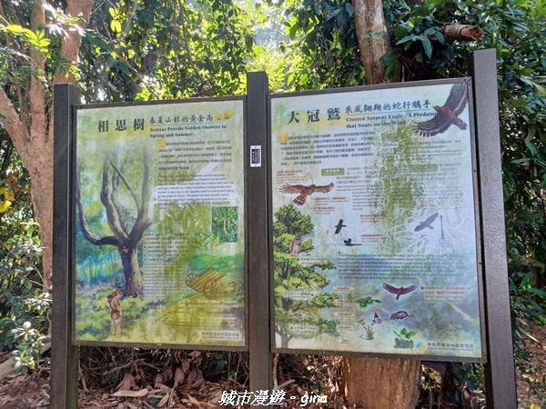 20221119_120610.jpg 20221119_120610.jpg