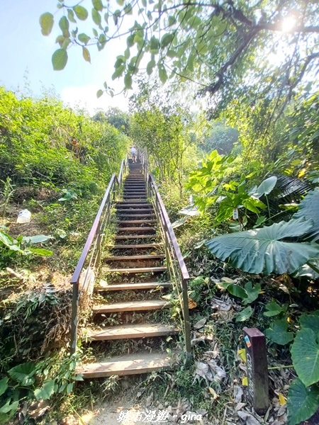 20221119_120113.jpg 20221119_120113.jpg