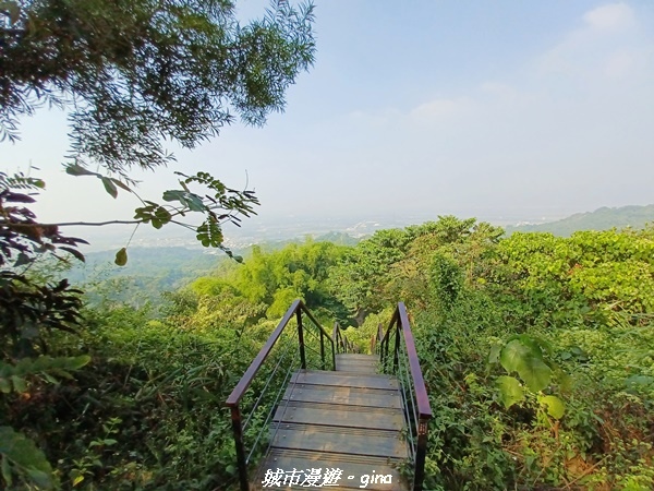 20221119_124219.jpg 20221119_124219.jpg