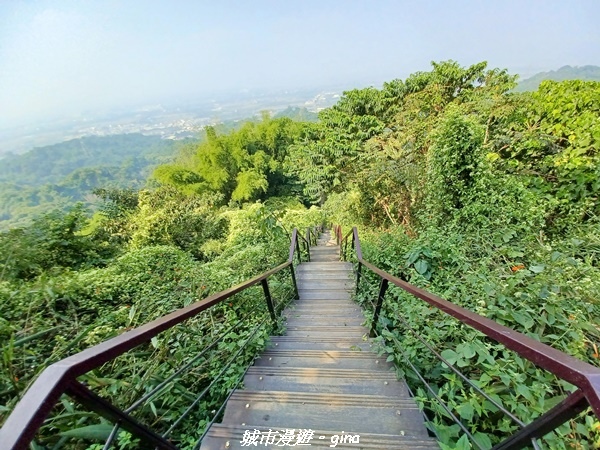 20221119_124231.jpg 20221119_124231.jpg