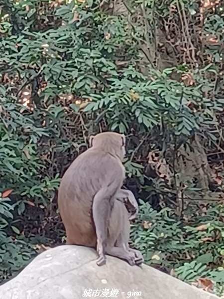 20221119_124520.jpg 20221119_124520.jpg