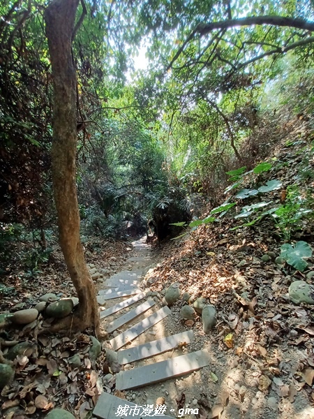 20221119_124808.jpg 20221119_124808.jpg