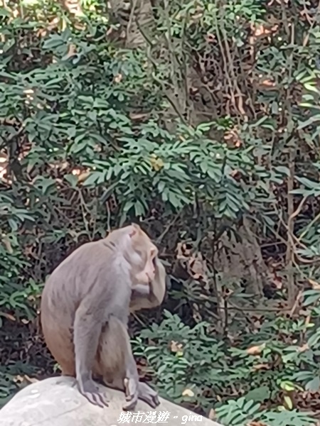 20221119_124523.jpg 20221119_124523.jpg