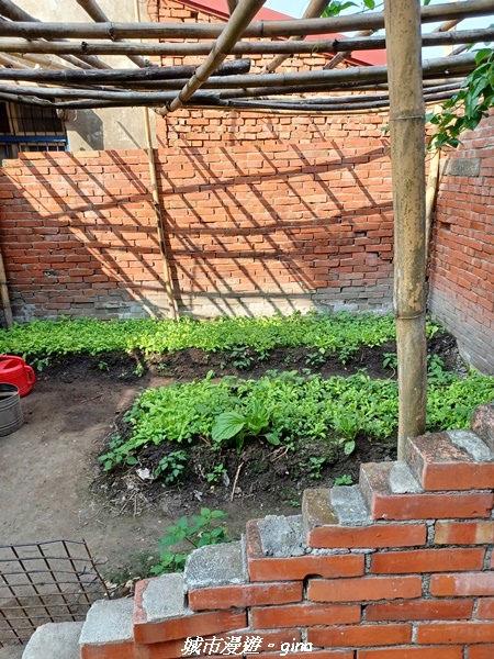 20221119_132323.jpg 20221119_132323.jpg