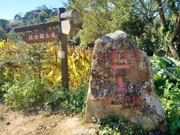 【苗栗大湖】悠閒山行。 No36小百岳~關刀山步道(出關古道