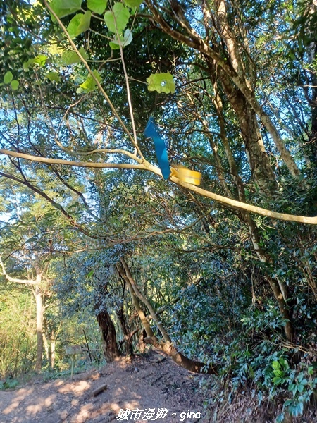 【苗栗大湖】悠閒山行。 No36小百岳~關刀山步道(出關古道