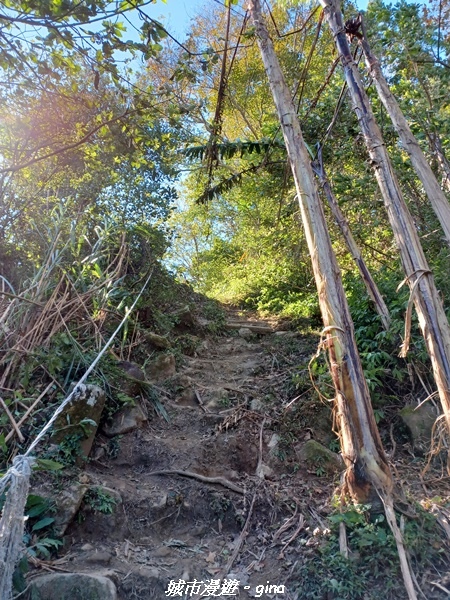 【苗栗大湖】悠閒山行。 No36小百岳~關刀山步道(出關古道