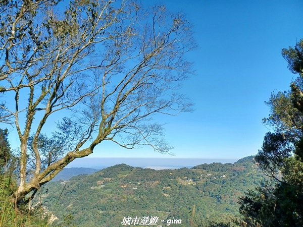 【苗栗大湖】悠閒山行。 No36小百岳~關刀山步道(出關古道