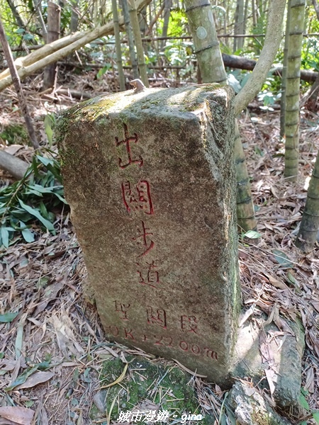 【苗栗大湖】悠閒山行。 No36小百岳~關刀山步道(出關古道