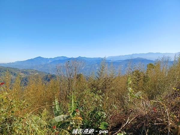 【苗栗大湖】悠閒山行。 No36小百岳~關刀山步道(出關古道