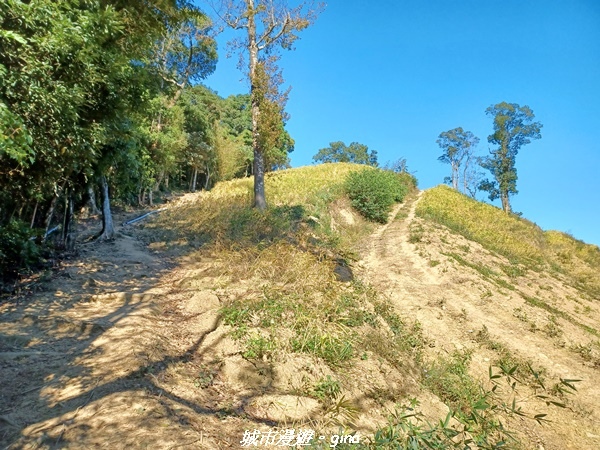 【苗栗大湖】悠閒山行。 No36小百岳~關刀山步道(出關古道