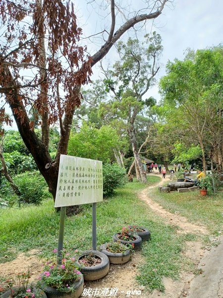 【高雄岡山】 小百岳集起來。 No78小百岳-大崗山步道