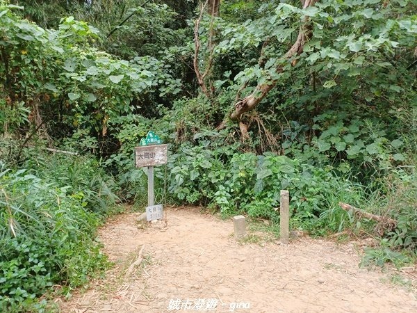 【高雄岡山】 小百岳集起來。 No78小百岳-大崗山步道