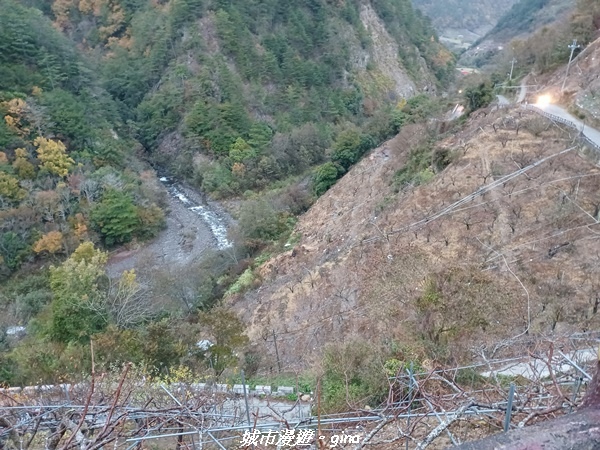 20230101_064012.jpg 20230101_064012.jpg