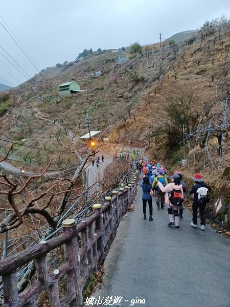 20230101_064020.jpg 20230101_064020.jpg