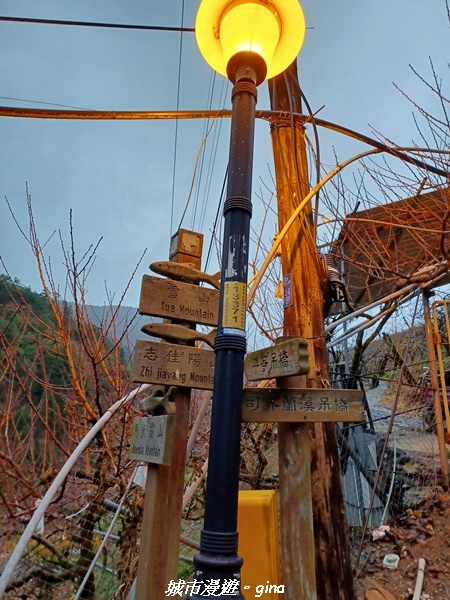 20230101_064201.jpg 20230101_064201.jpg