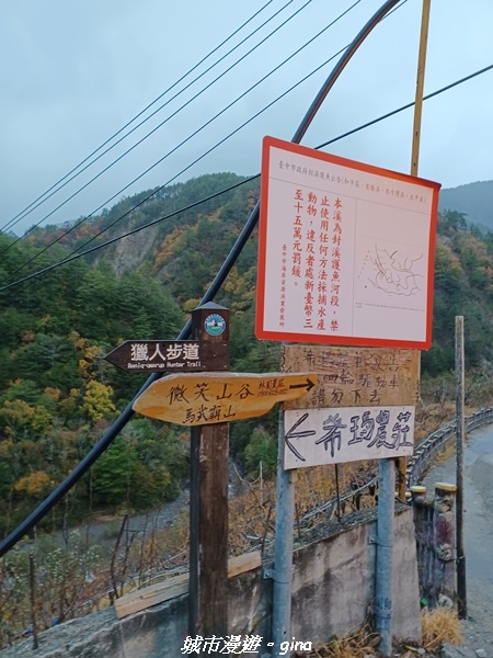 20230101_064244.jpg 20230101_064244.jpg