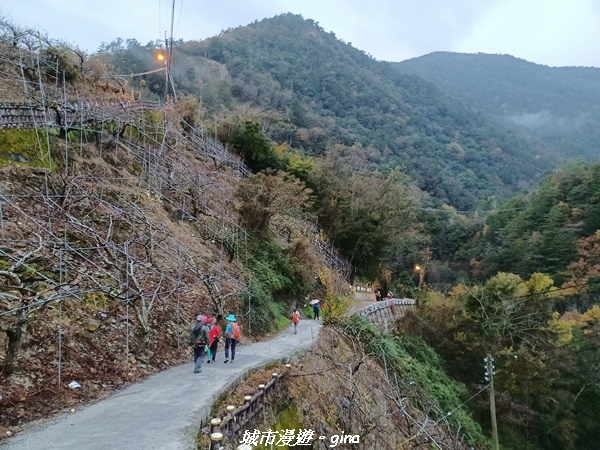 20230101_064334.jpg 20230101_064334.jpg