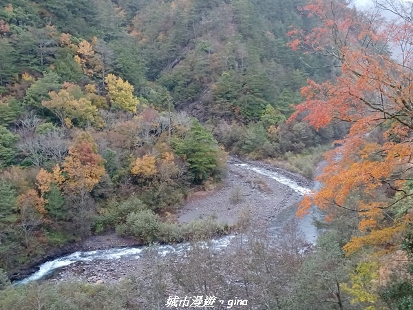 20230101_064549.jpg 20230101_064549.jpg