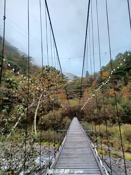 20230101_065107.jpg 20230101_065107.jpg