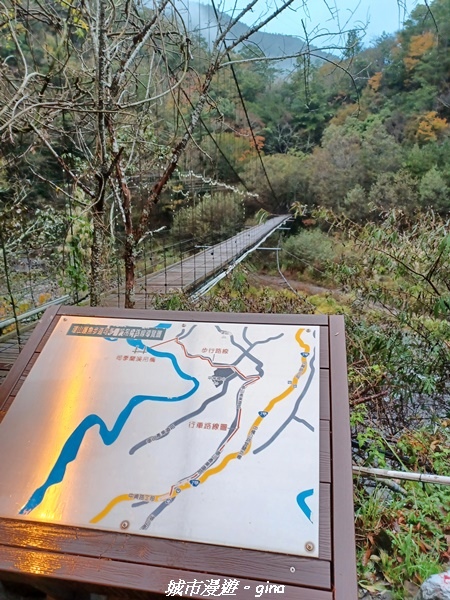 20230101_064948.jpg 20230101_064948.jpg