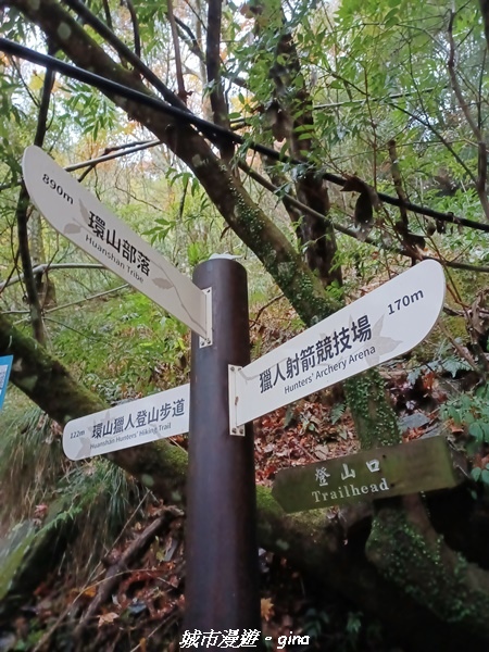 20230101_070227.jpg 20230101_070227.jpg