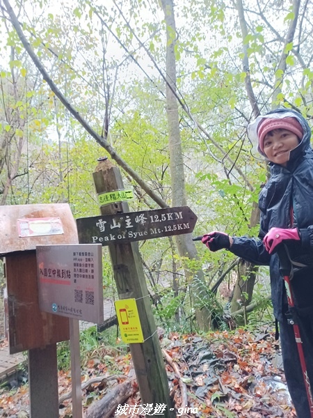 20230101_070300.jpg 20230101_070300.jpg