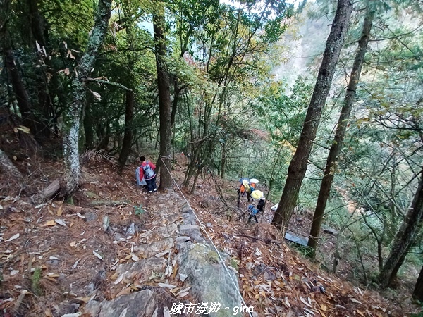 20230101_073125.jpg 20230101_073125.jpg